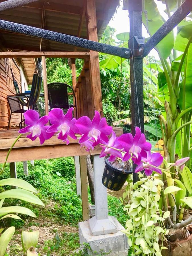 Hotel Lanta A Toi House Ko Lanta Exterior foto